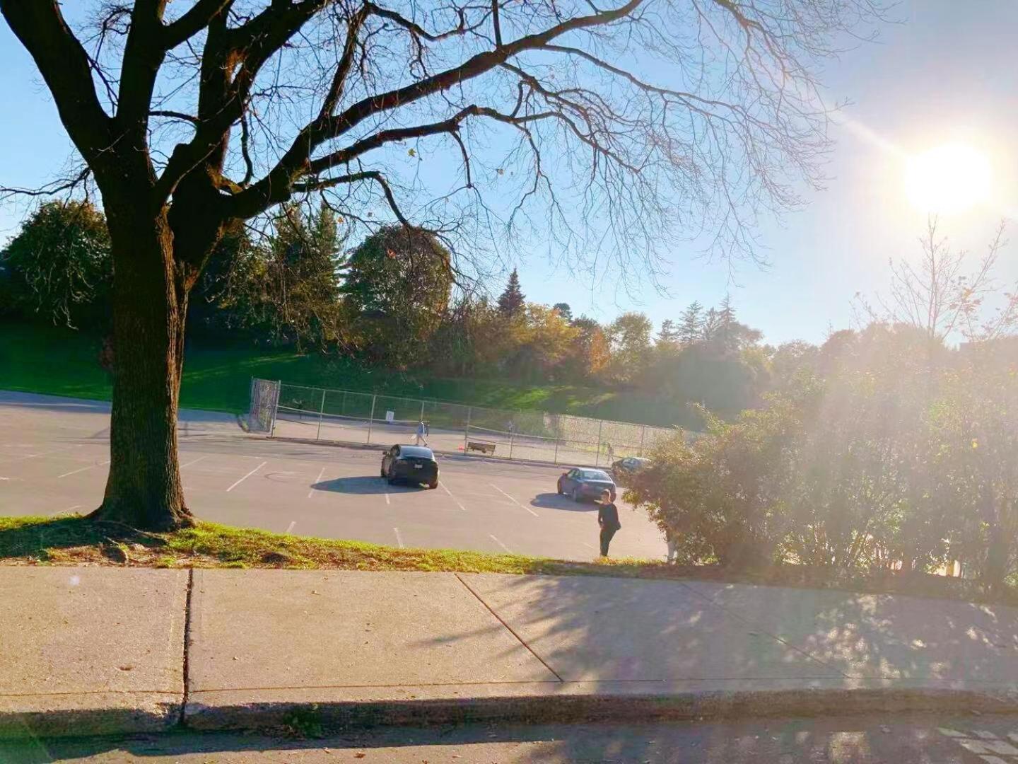 Leaside Garden Guesthouse トロント エクステリア 写真